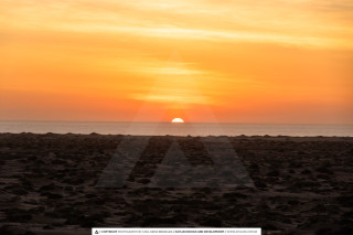 Sossusvlei, Swakopmund – 5-Day Tour