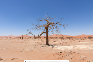 10 Days of Natural Beauty - Sossusvlei, Swakopmund, Damaraland, Etosha, Otjiwarongo, Windhoek