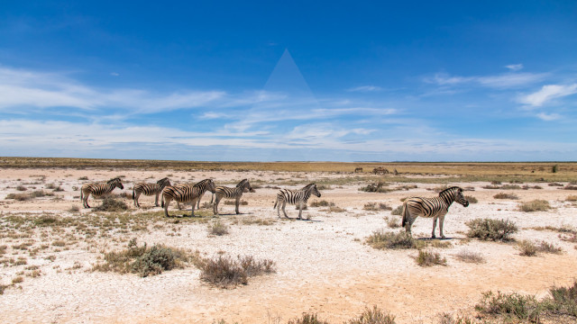 Botswana
