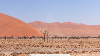 10 Days of Natural Beauty - Sossusvlei, Swakopmund, Damaraland, Etosha, Otjiwarongo, Windhoek