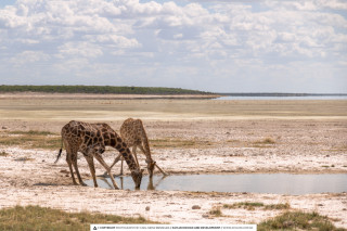 10 Days of Natural Beauty - Sossusvlei, Swakopmund, Damaraland, Etosha, Otjiwarongo, Windhoek