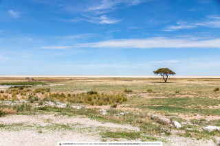 10 Days of Natural Beauty - Sossusvlei, Swakopmund, Damaraland, Etosha, Otjiwarongo, Windhoek