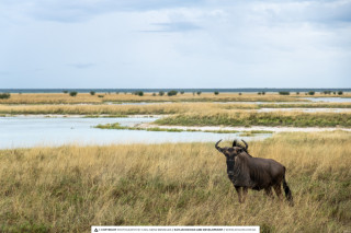 10 Days of Natural Beauty - Sossusvlei, Swakopmund, Damaraland, Etosha, Otjiwarongo, Windhoek
