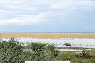 10 Days of Natural Beauty - Sossusvlei, Swakopmund, Damaraland, Etosha, Otjiwarongo, Windhoek